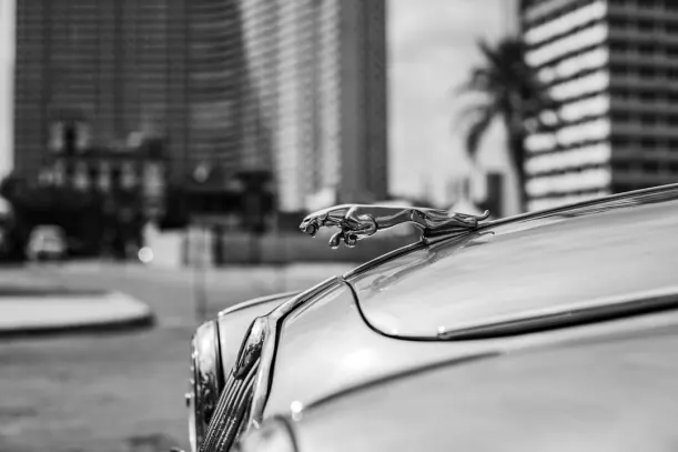 20Bets Casino App Android/iOS